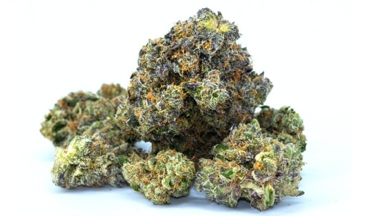 Cannabis