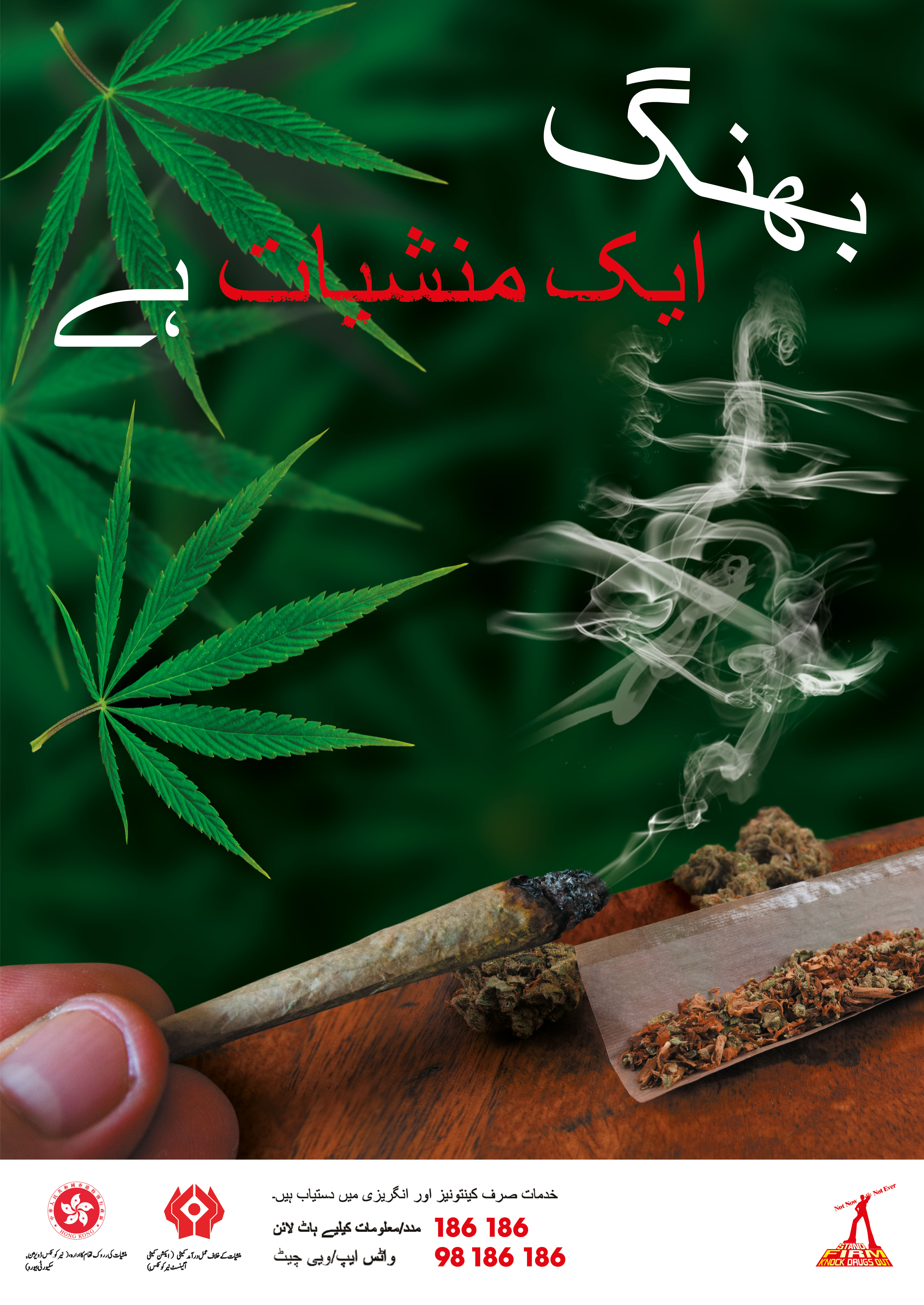 Anti-drug poster "Cannabis is a drug" - Urdu version