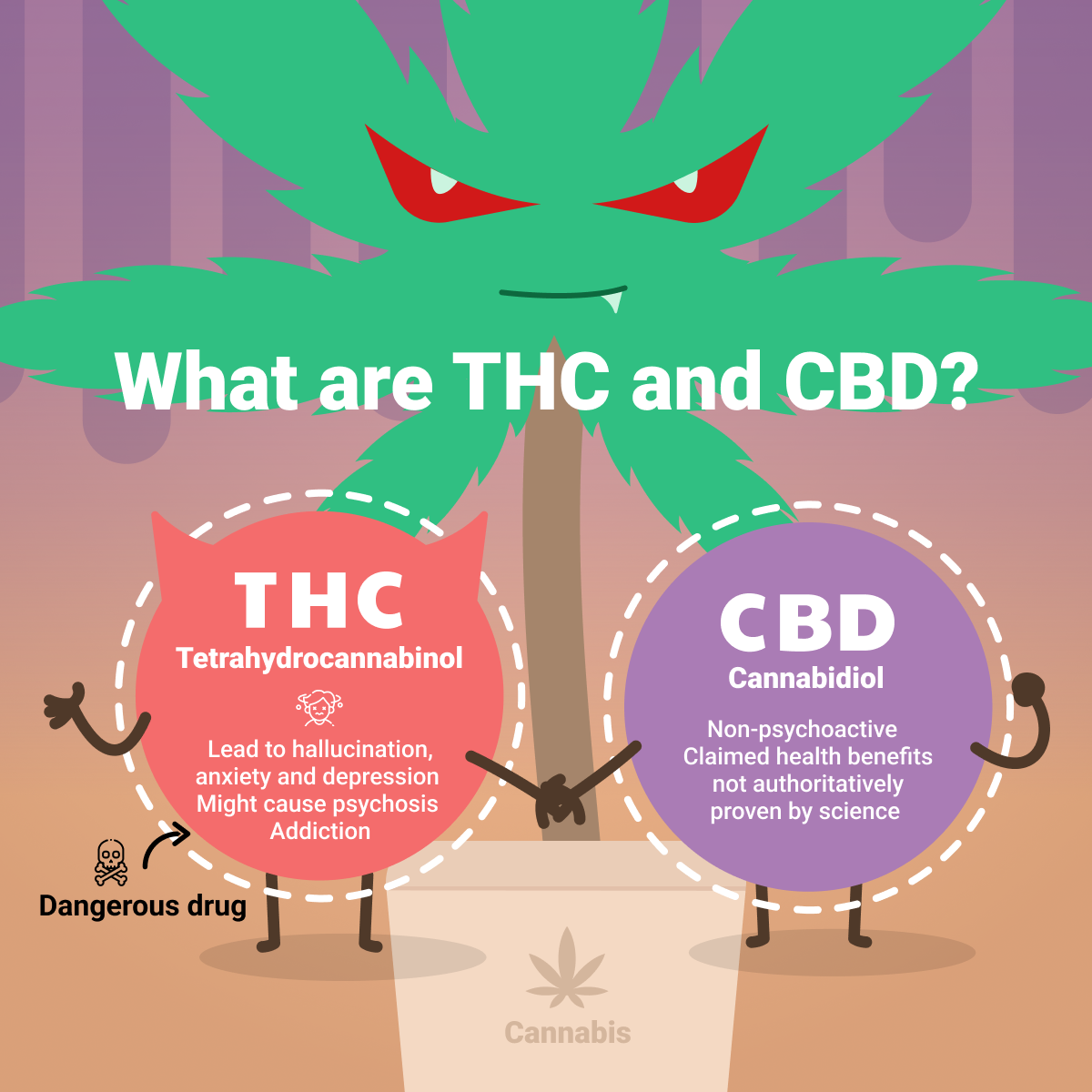 What are THC and CBD?
