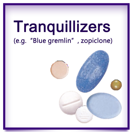 Narcotics Division, Security Bureau - Drug Information