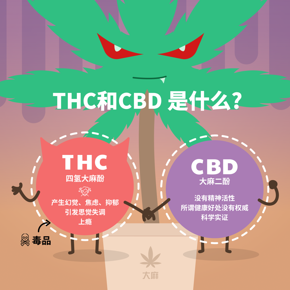 THC 和 CBD 是什么?