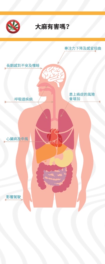 大麻係毒品展板5