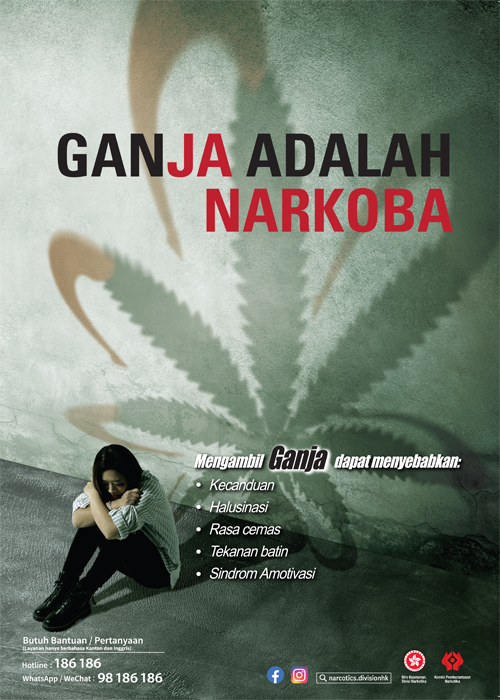 禁毒海報「大麻係毒品」－印尼文版本