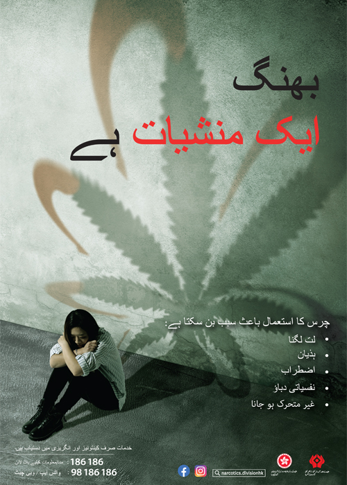 Anti-drug poster “Cannabis is a drug” - Urdu version