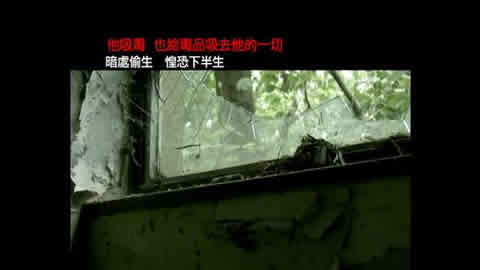 向毒品說不2009(惶恐半生)