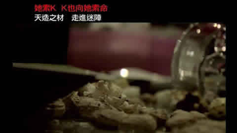向毒品說不2009(突然死亡)