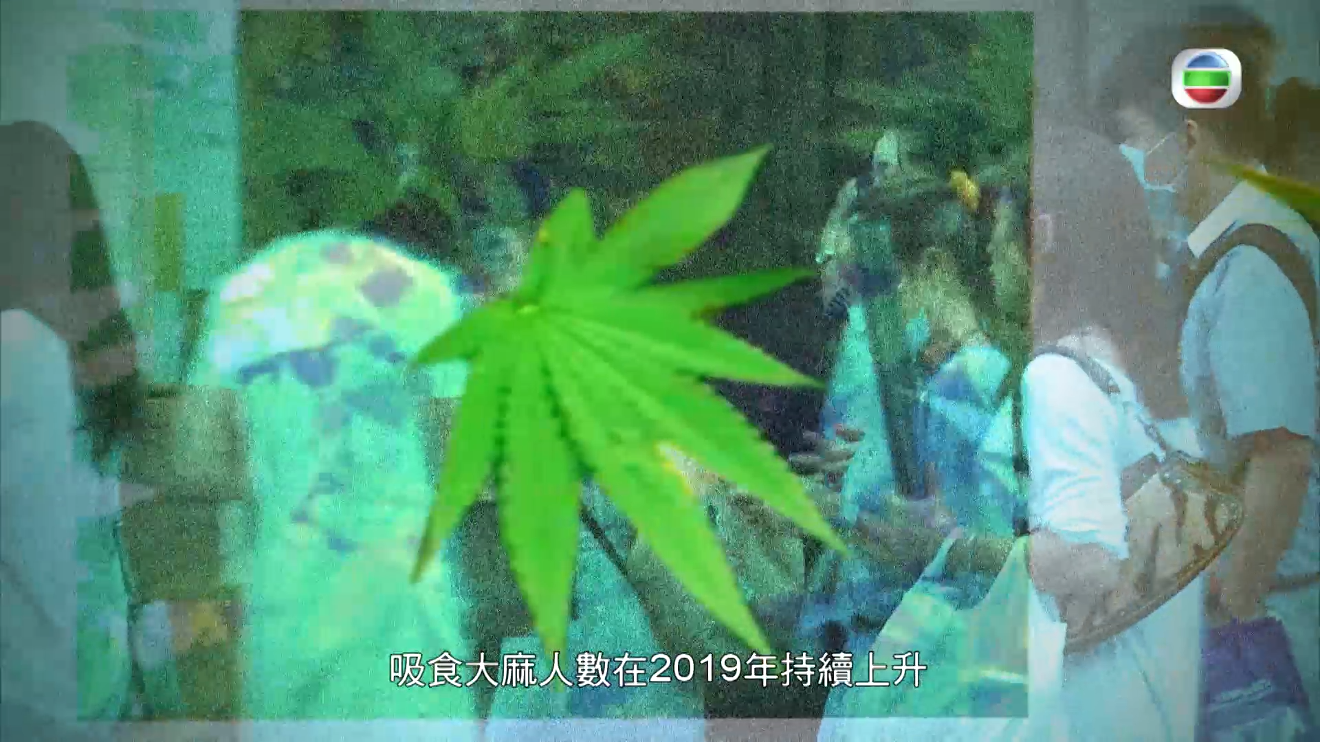 東張西望(2020年6月24日)