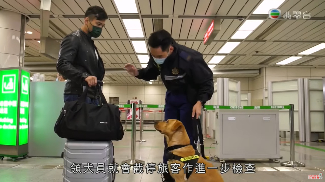 禁毒多面睇2.0(2020年12月29日)